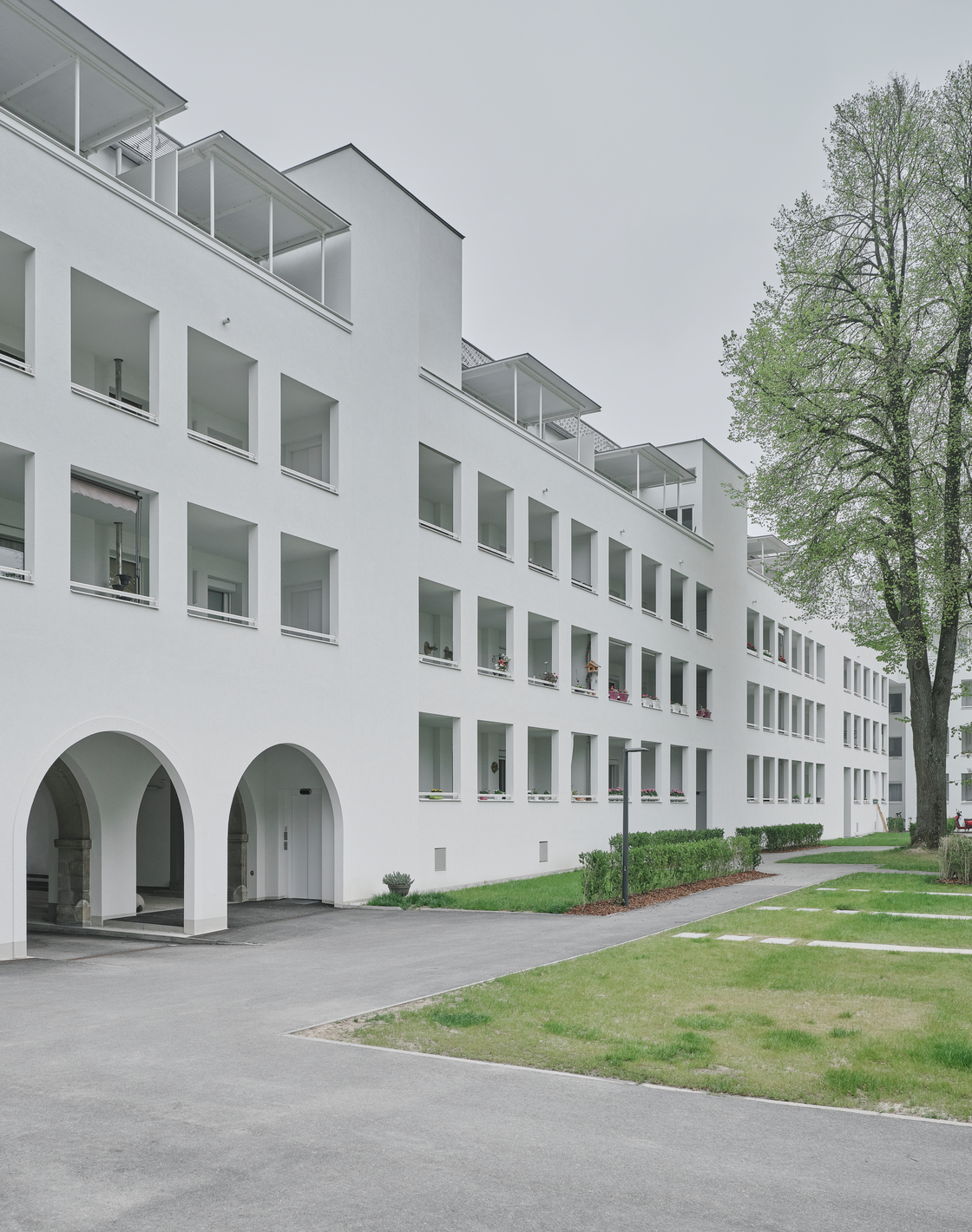 Ein Foto von David Schreyer