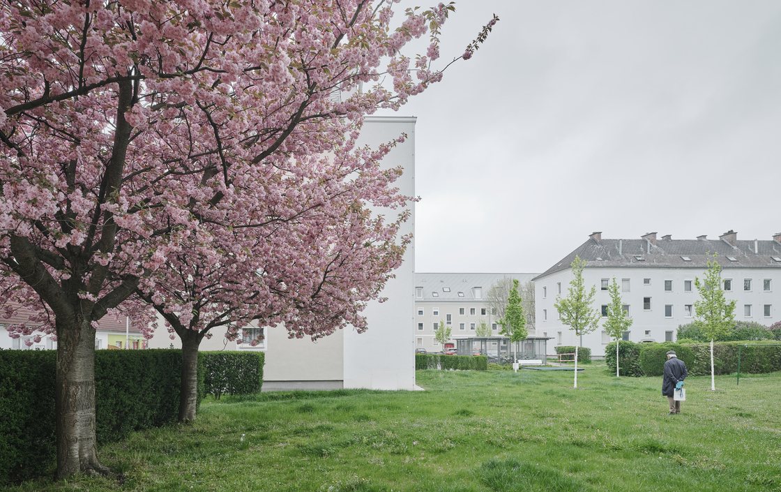 Ein Foto von David Schreyer