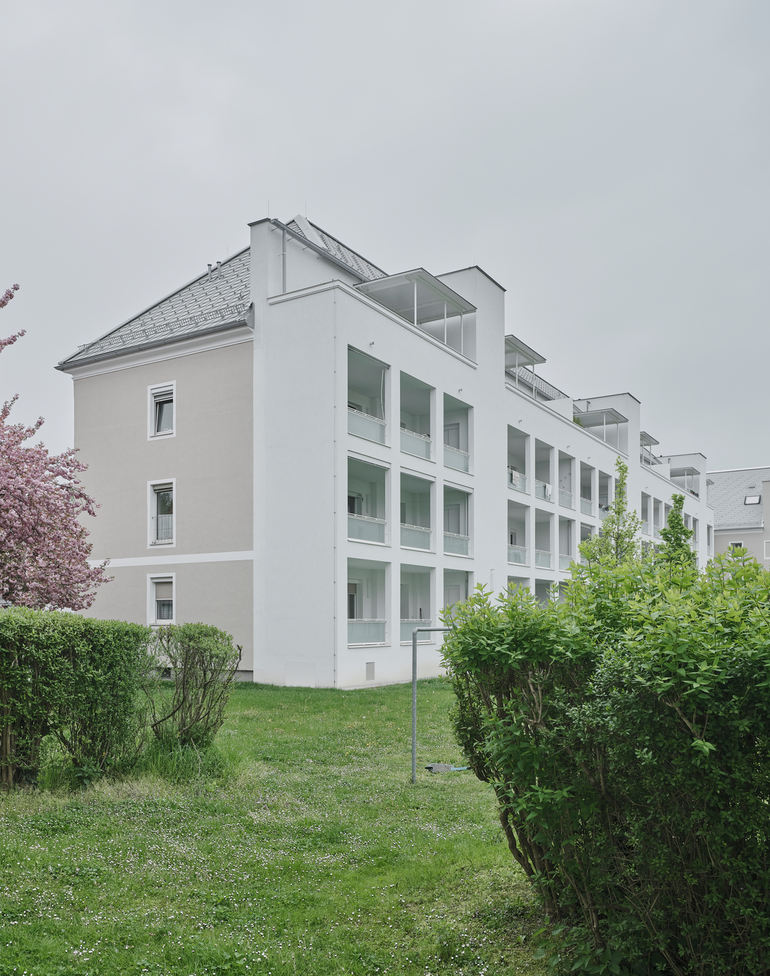 Ein Foto von David Schreyer