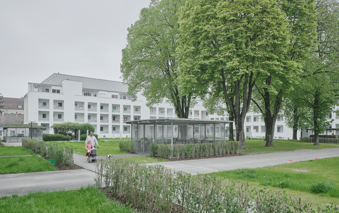 Ein Foto von David Schreyer