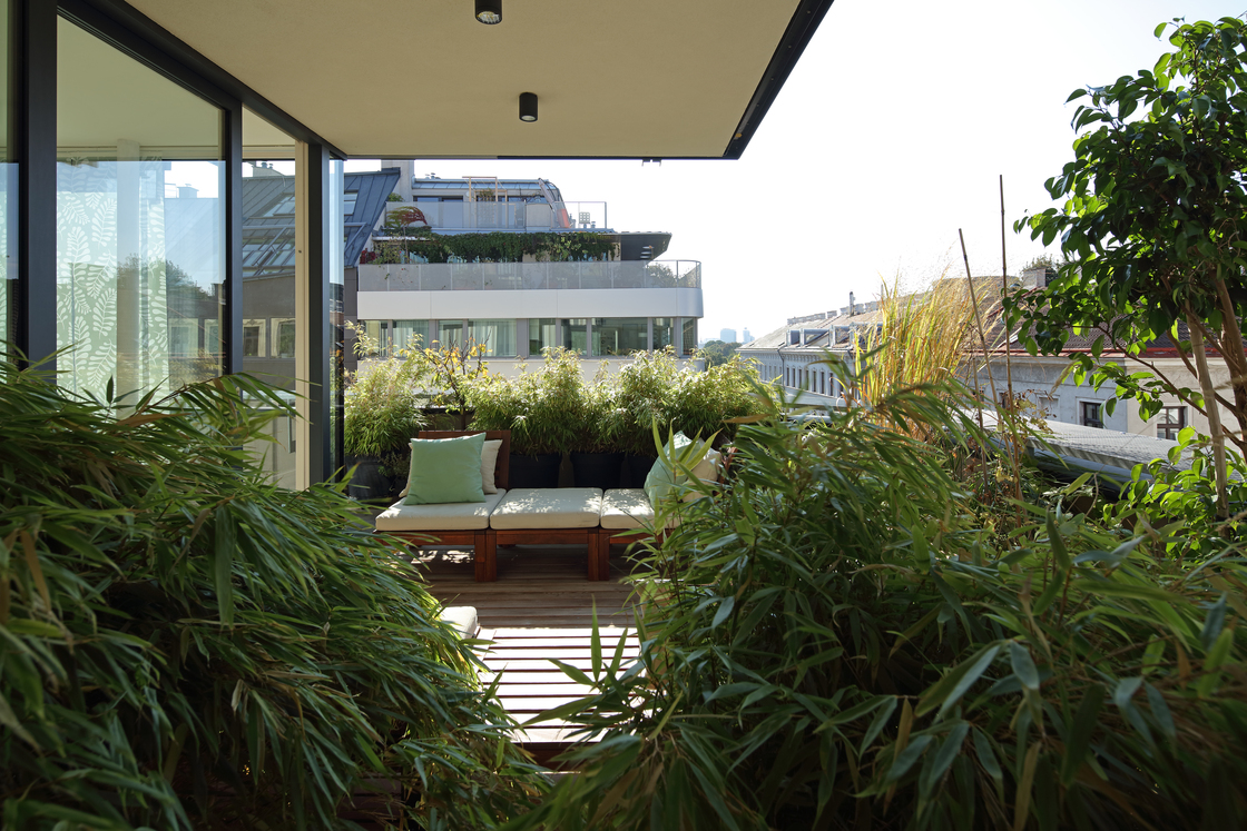 Ein Foto von Christian Brandstätter