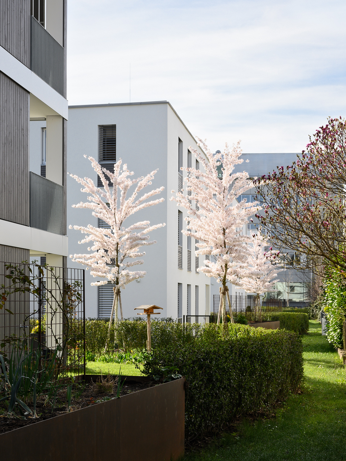 Ein Foto von Christa Engstler