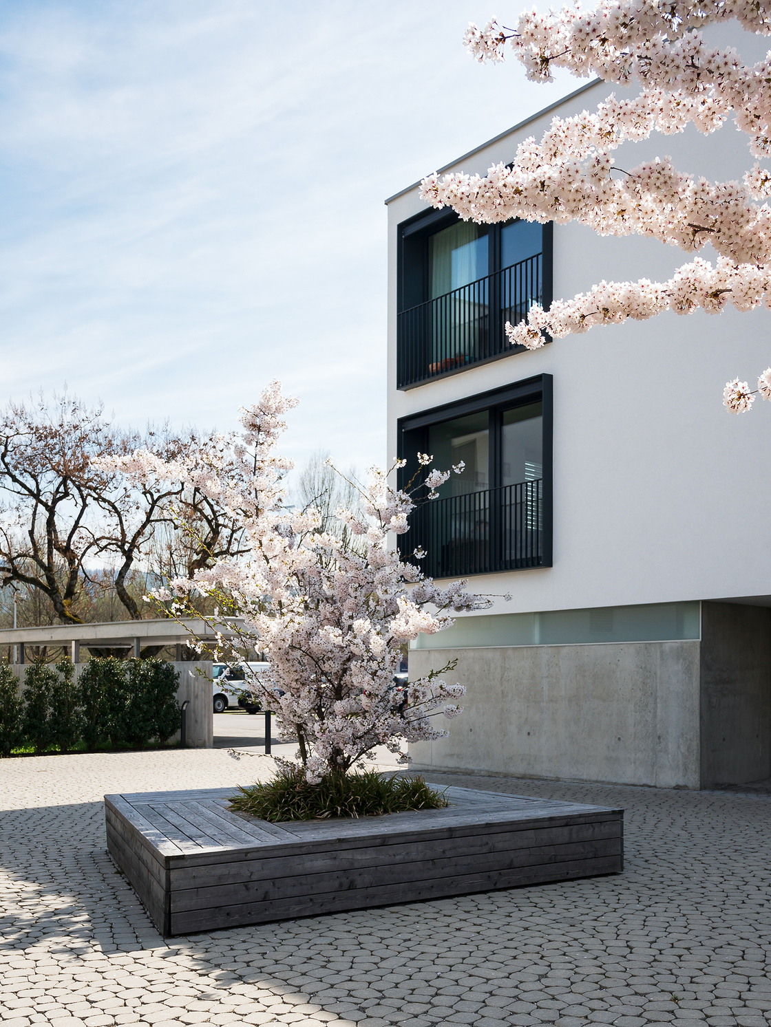 Ein Foto von Christa Engstler