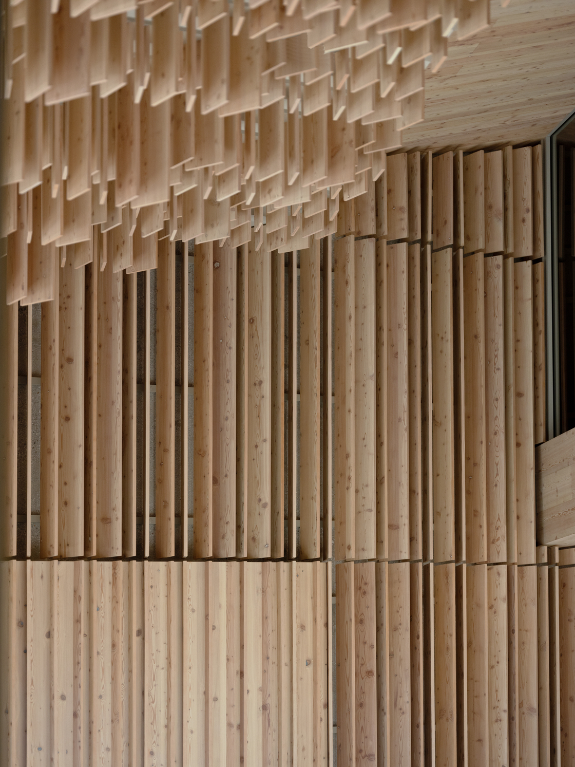 Ein Foto von Aleš Gregorič