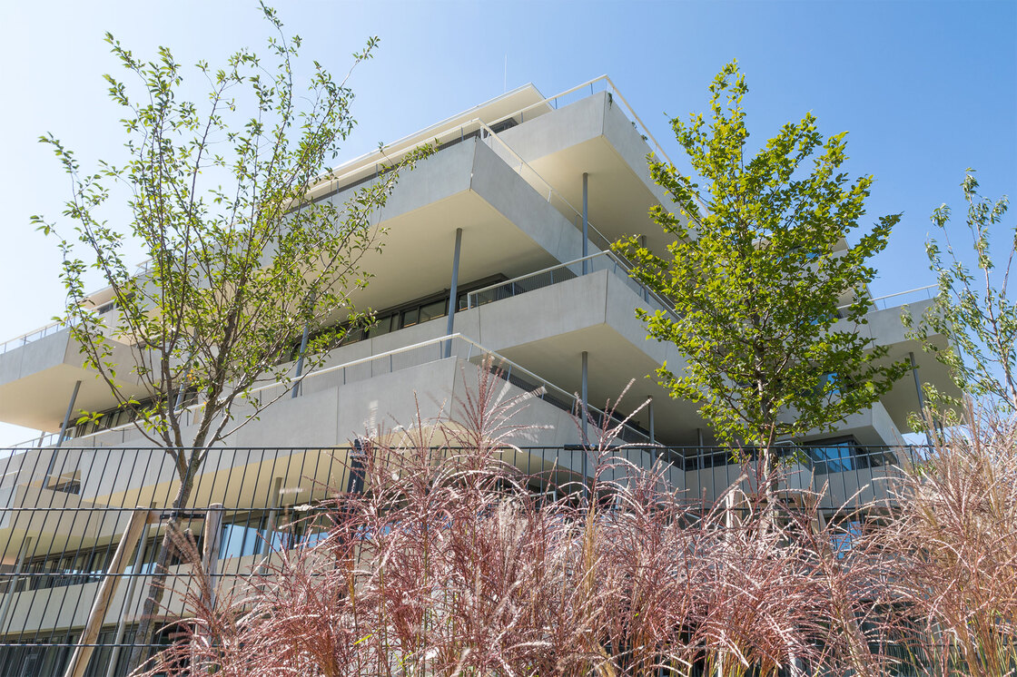 Ein Foto von Petra Panna Nagy