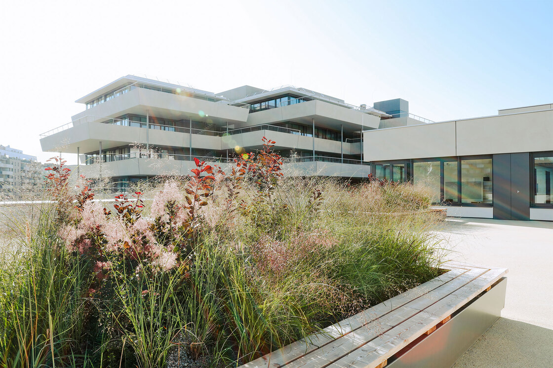 Ein Foto von Petra Panna Nagy