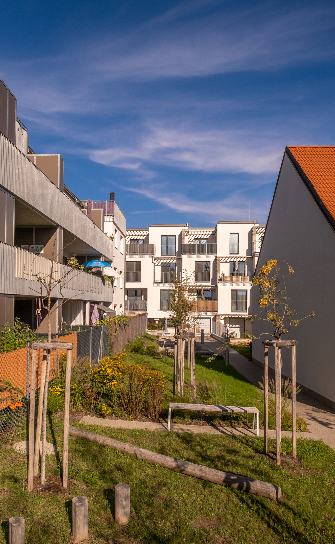 Ein Foto von Marion Müller