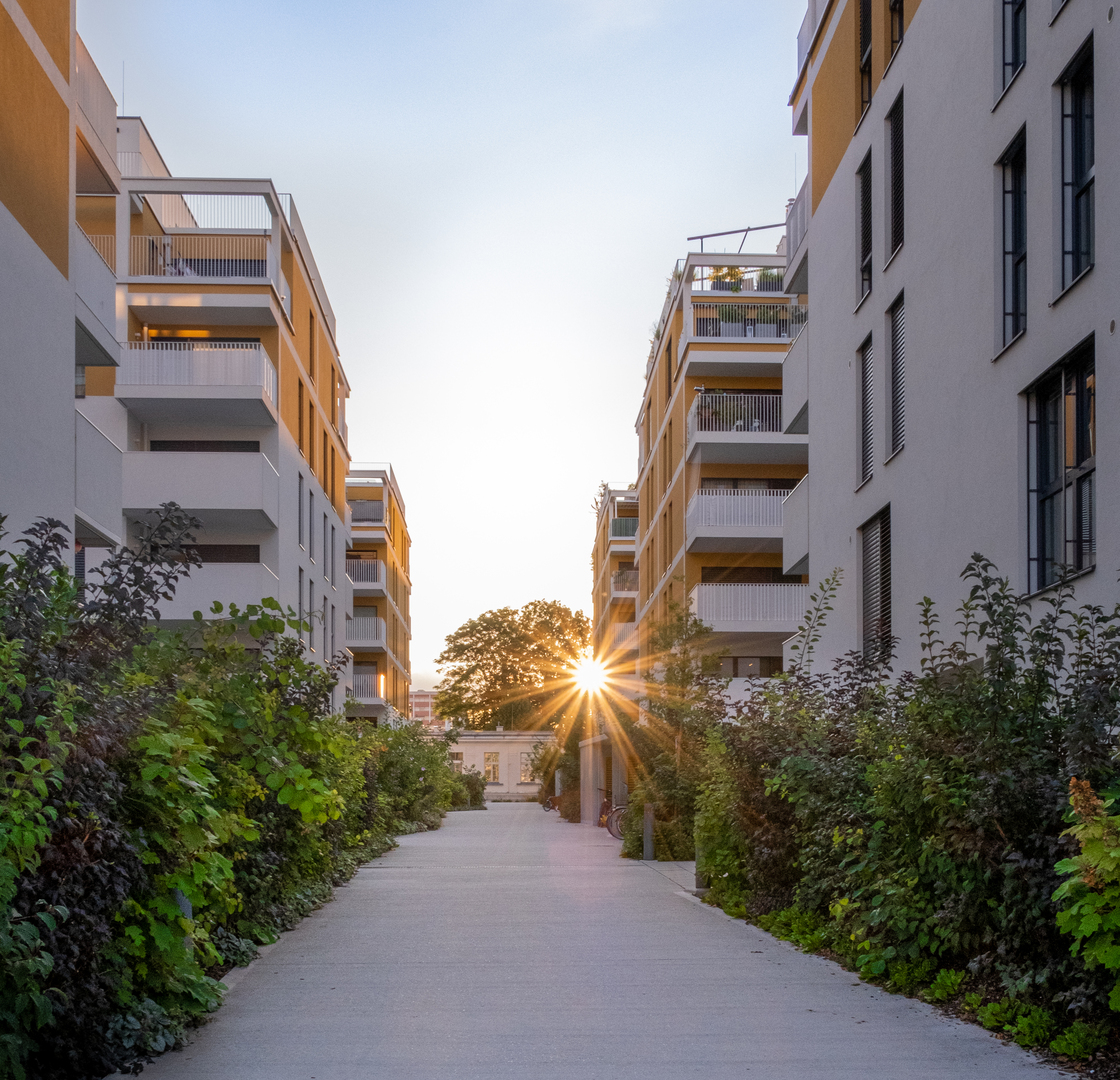 Ein Foto von Marion Müller