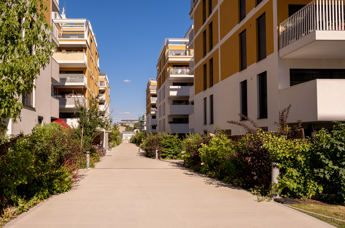 Ein Foto von Marion Müller