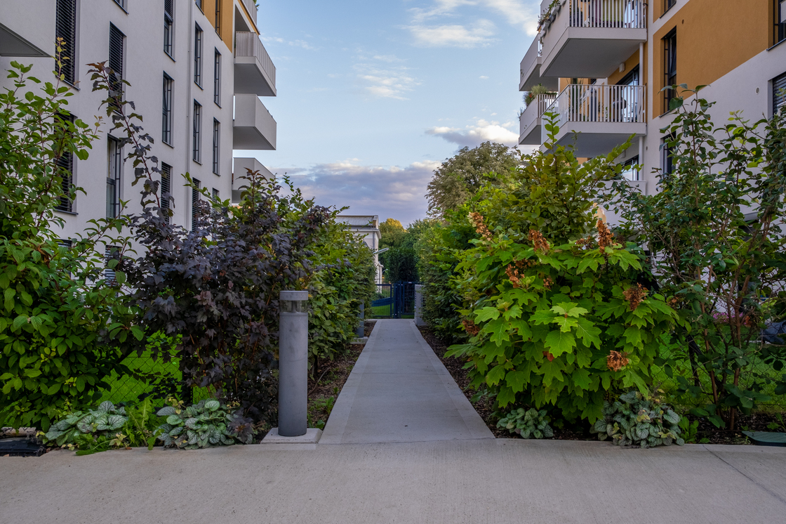 Ein Foto von Marion Müller