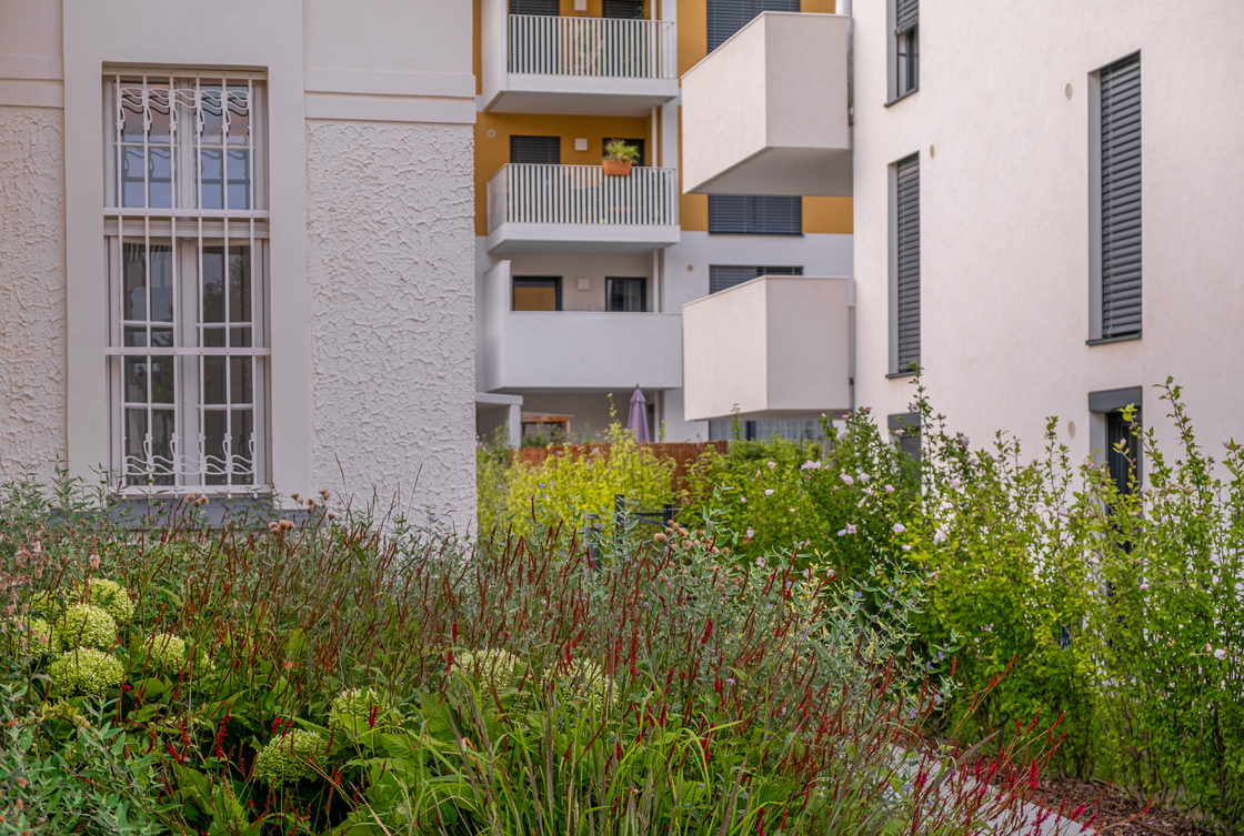 Ein Foto von Marion Müller