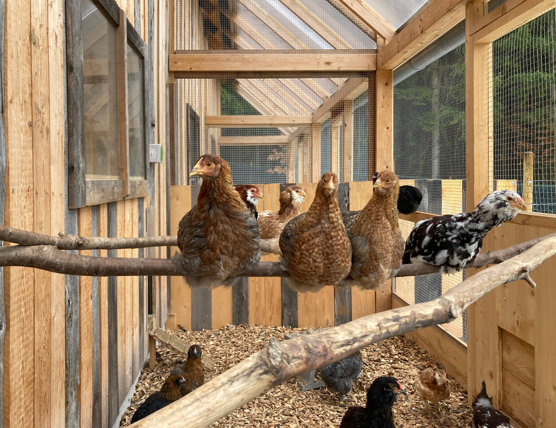 Ein Foto von gaupenraub+/-