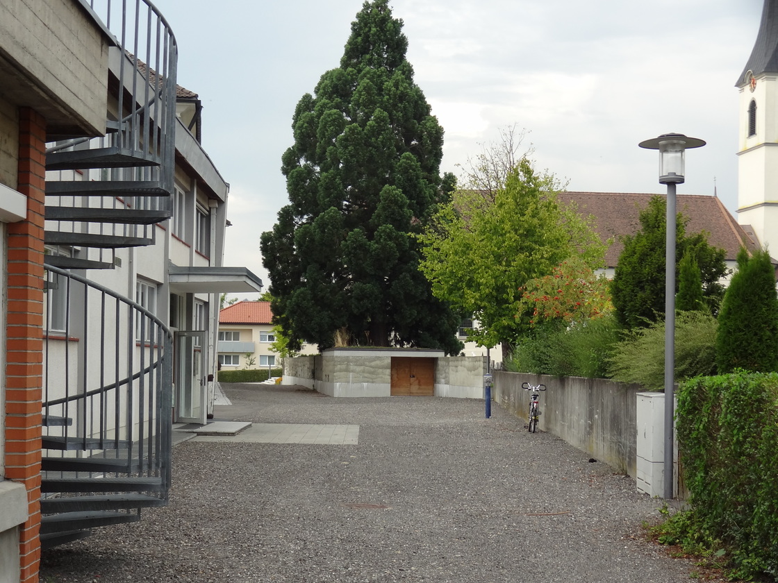 Ein Foto von Maria Anna Schneider-Moosbrugger