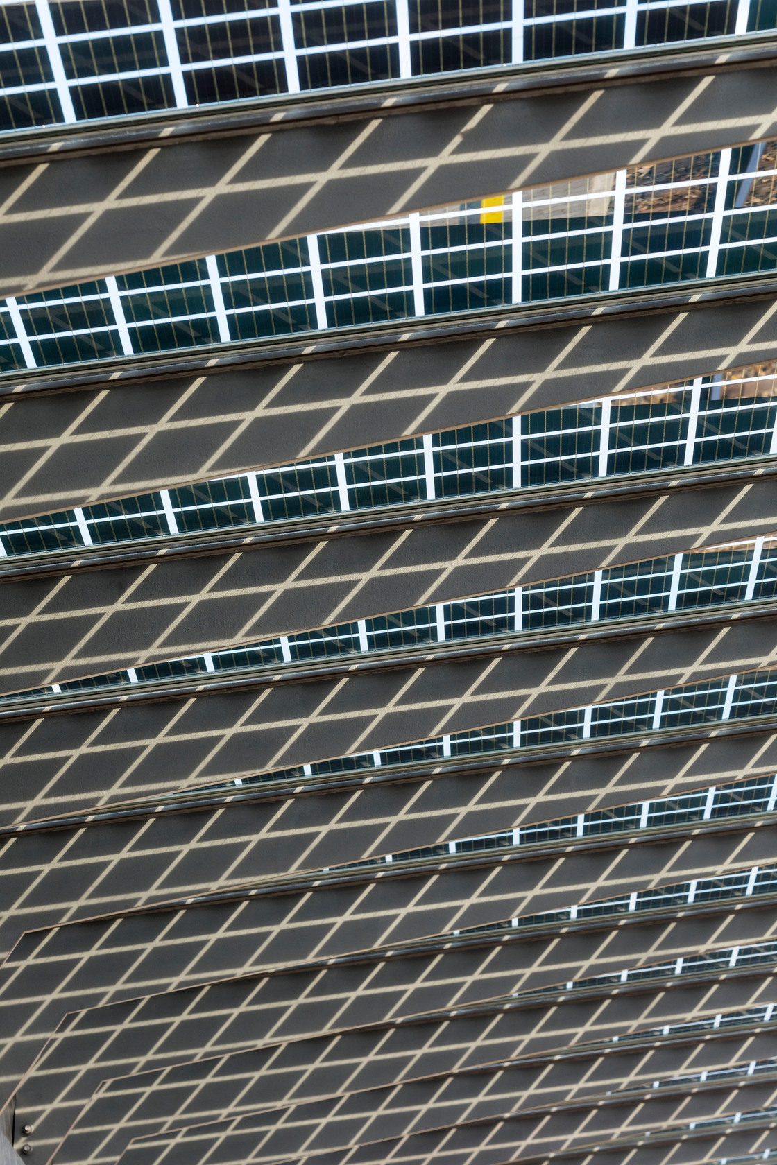 Ein Foto von Rupert Steiner