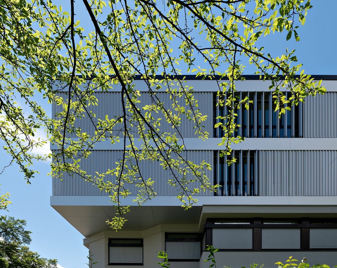 Ein Foto von Angelo Kaunat