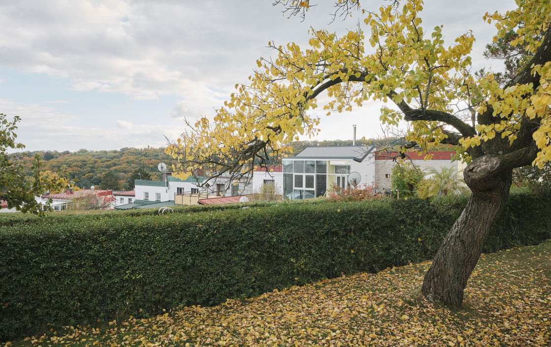 Ein Foto von David Schreyer