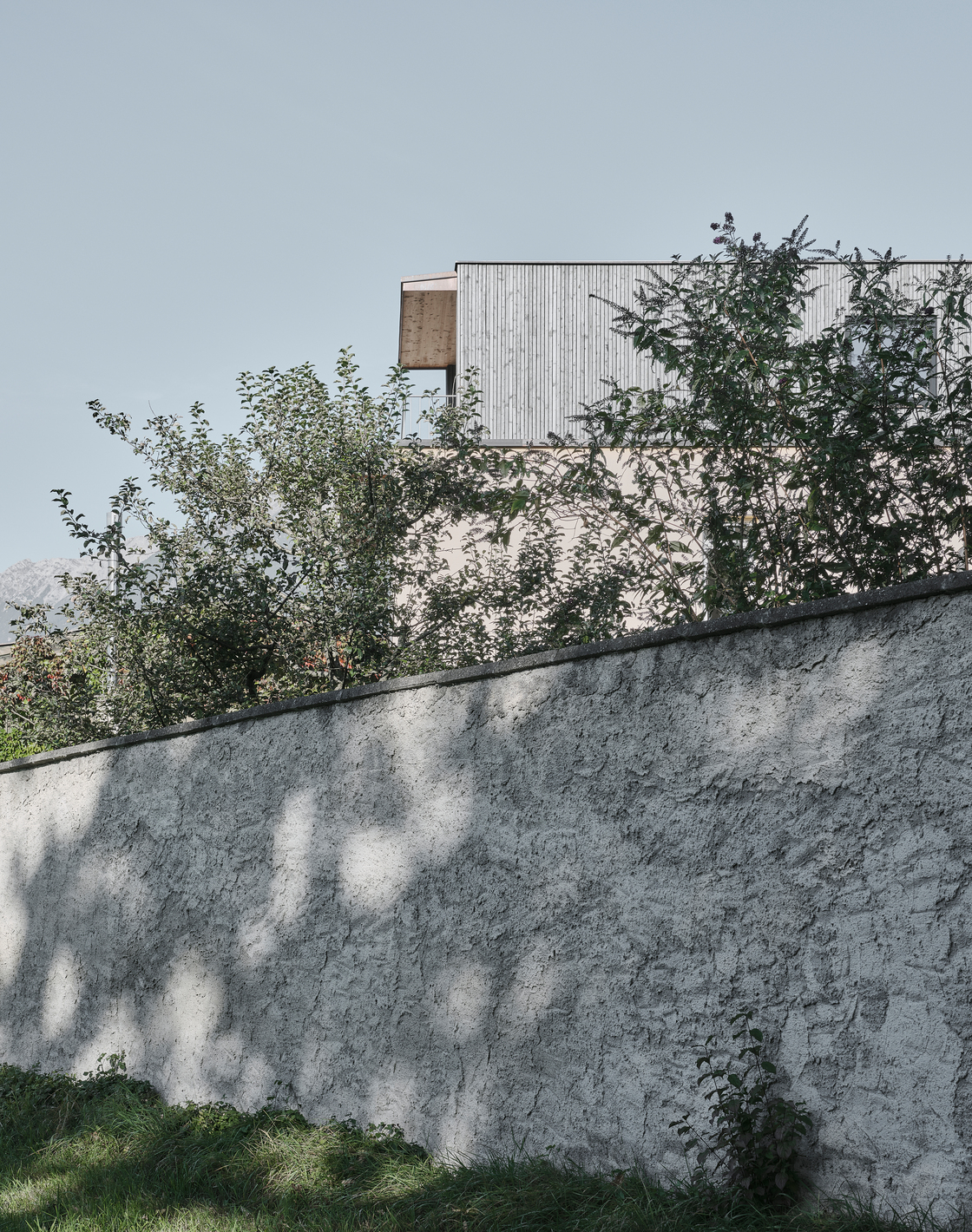 Ein Foto von David Schreyer