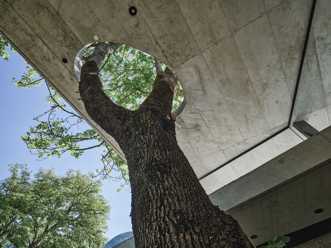 Ein Foto von Günter Richard Wett