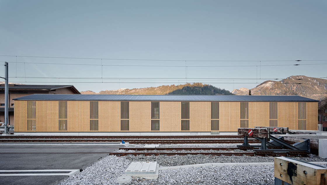 Ein Foto von Thomas Telley