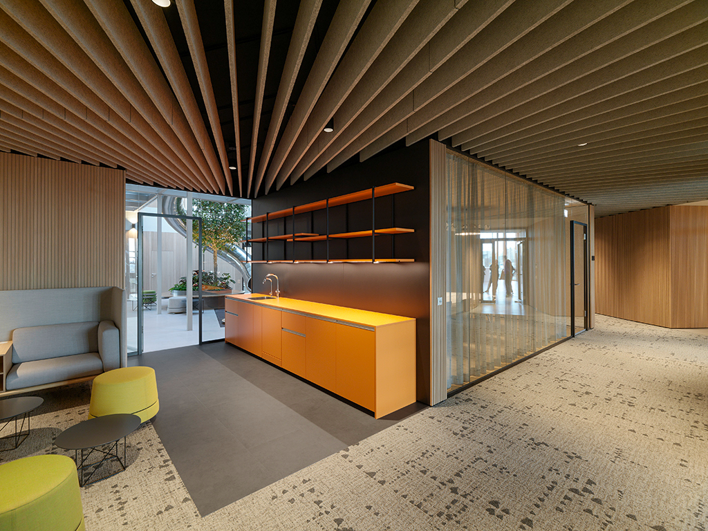 Ein Foto von Paul Ott