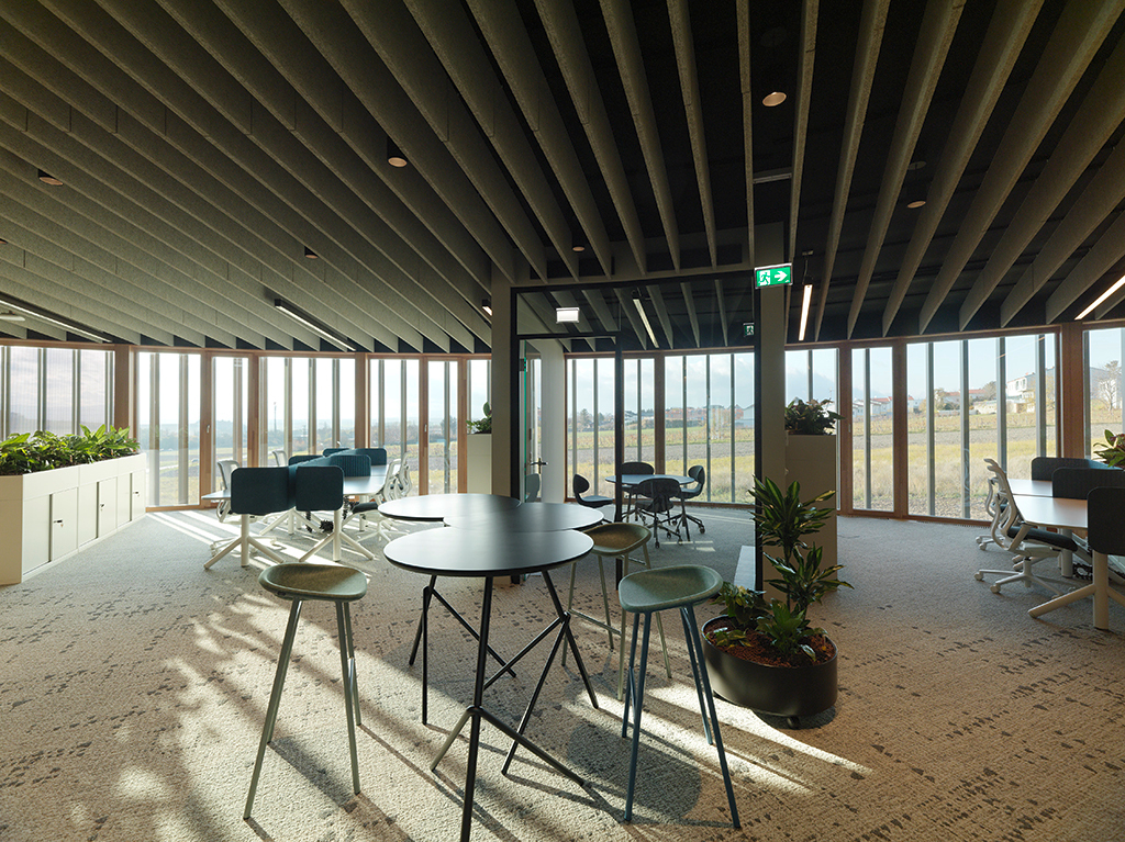 Ein Foto von Paul Ott