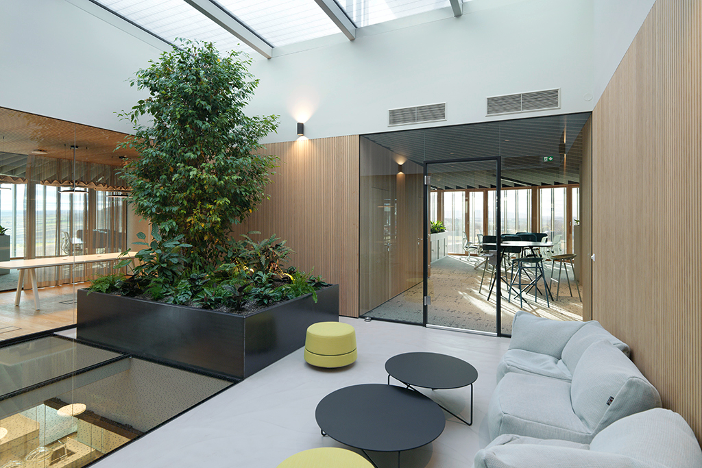 Ein Foto von Paul Ott