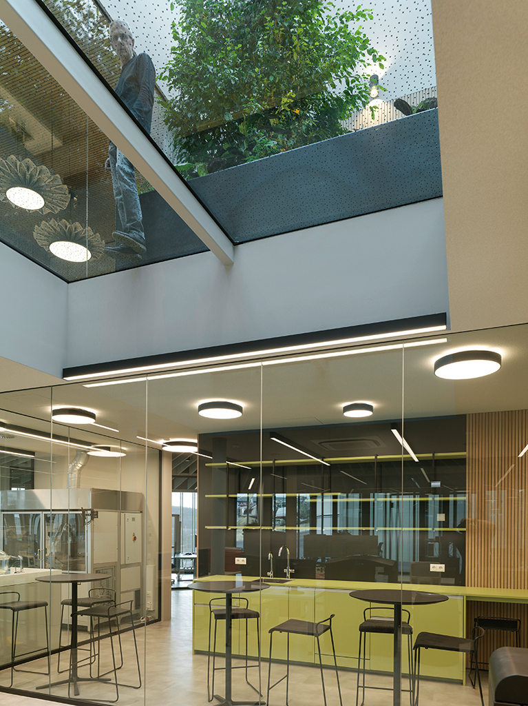 Ein Foto von Paul Ott