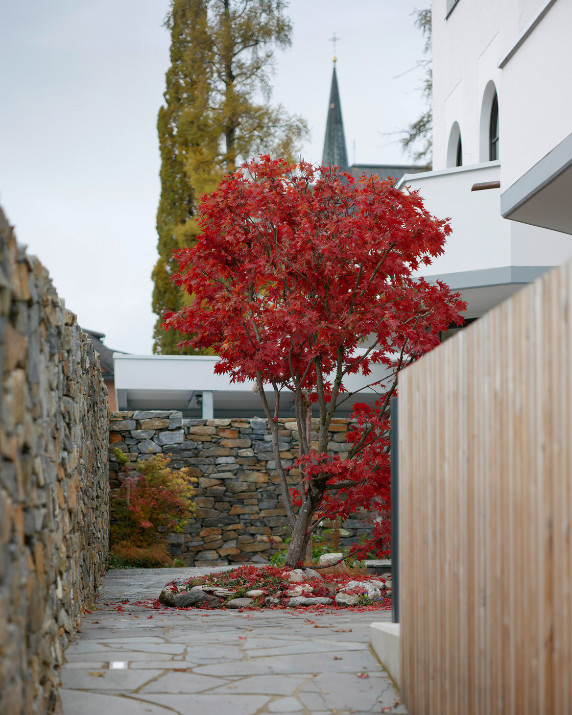 Ein Foto von Paul Ott