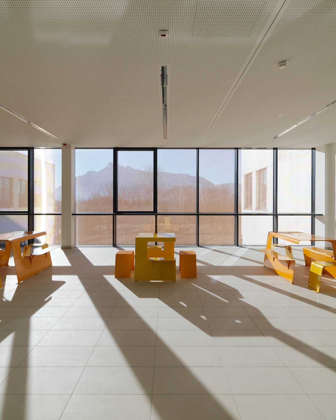 Ein Foto von Paul Ott