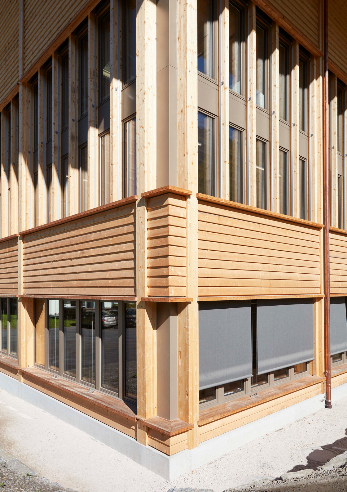 Ein Foto von Martin Stollenwerk