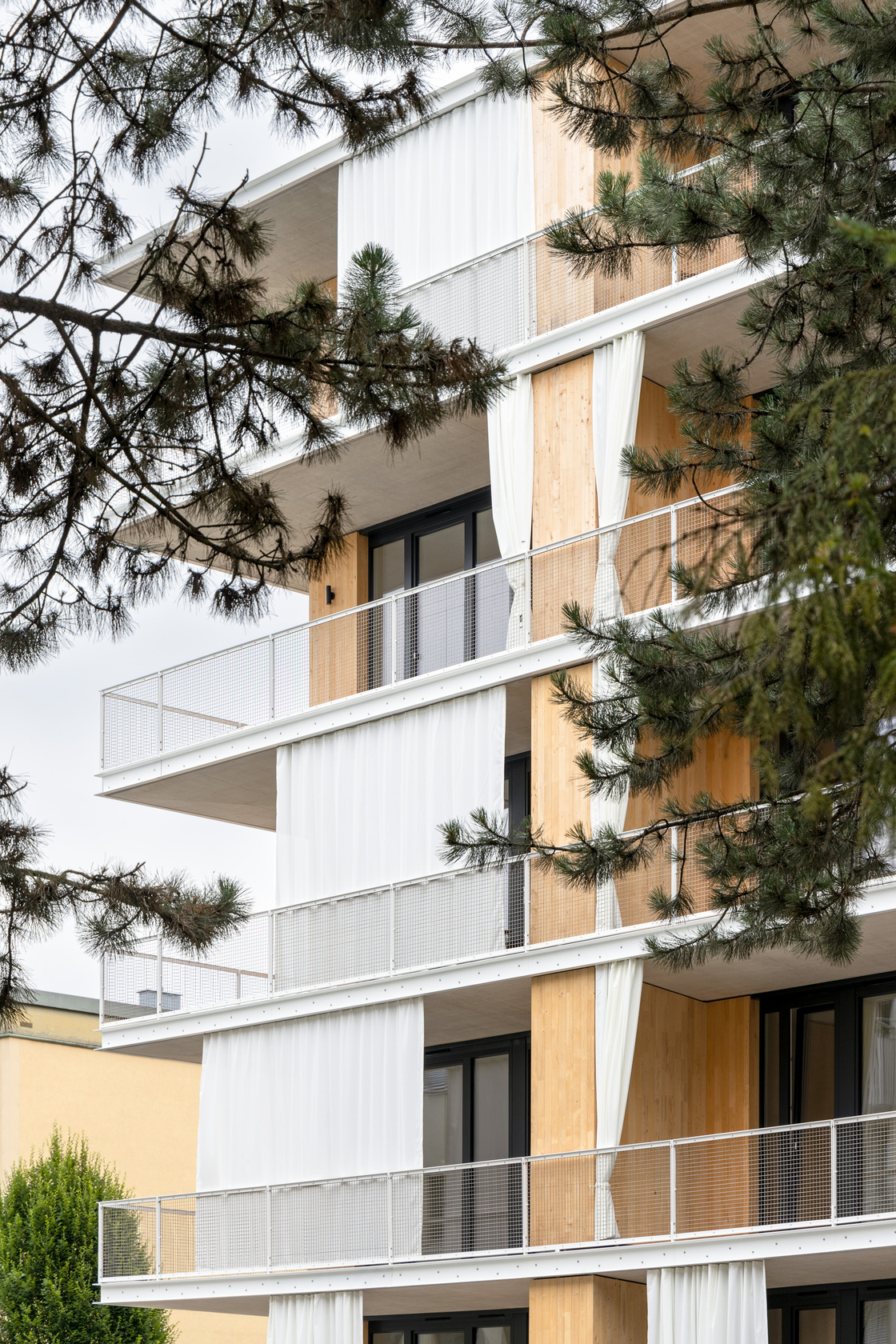 Ein Foto von Gregor Graf