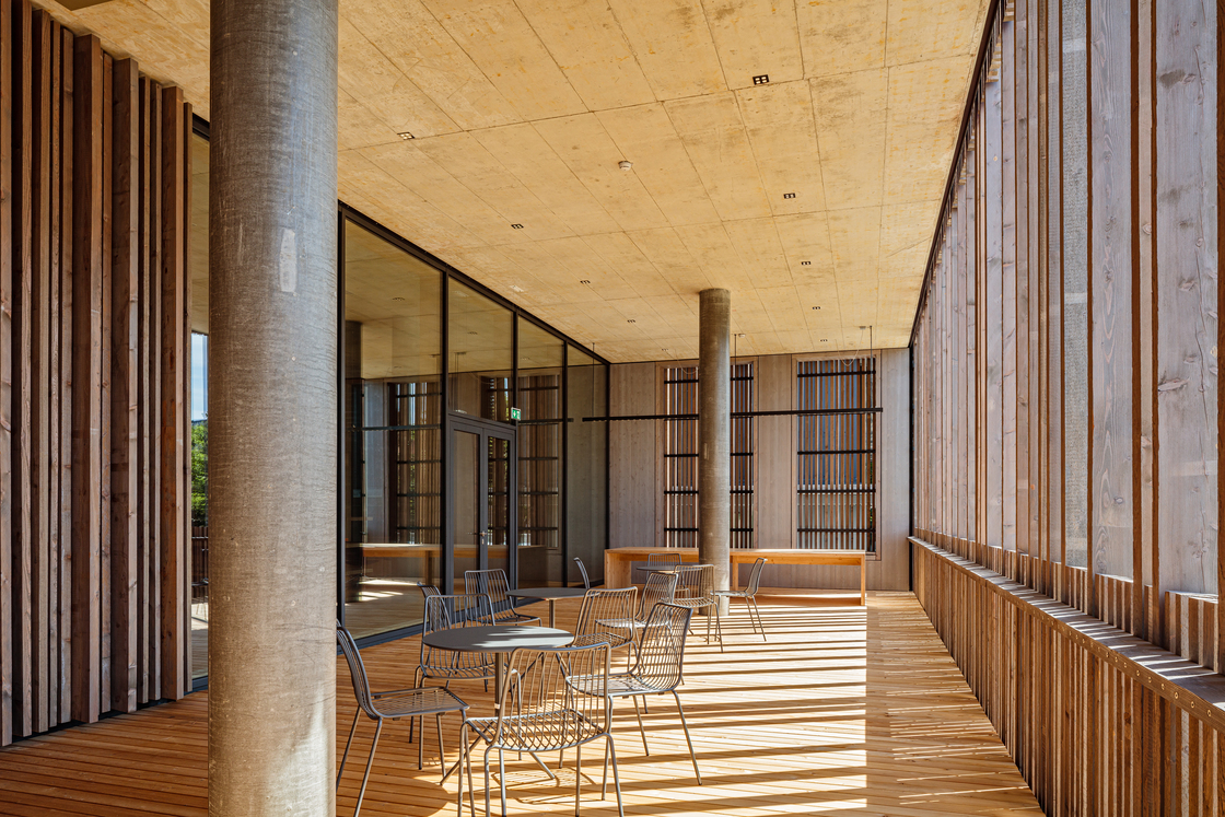 Ein Foto von Martin Steinkellner