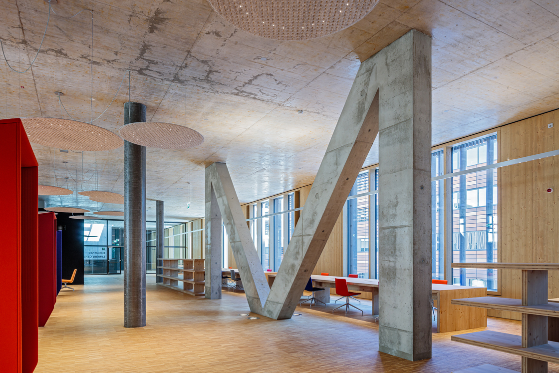 Ein Foto von Martin Steinkellner