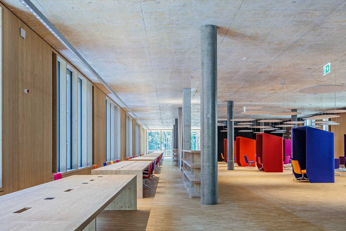 Ein Foto von Martin Steinkellner