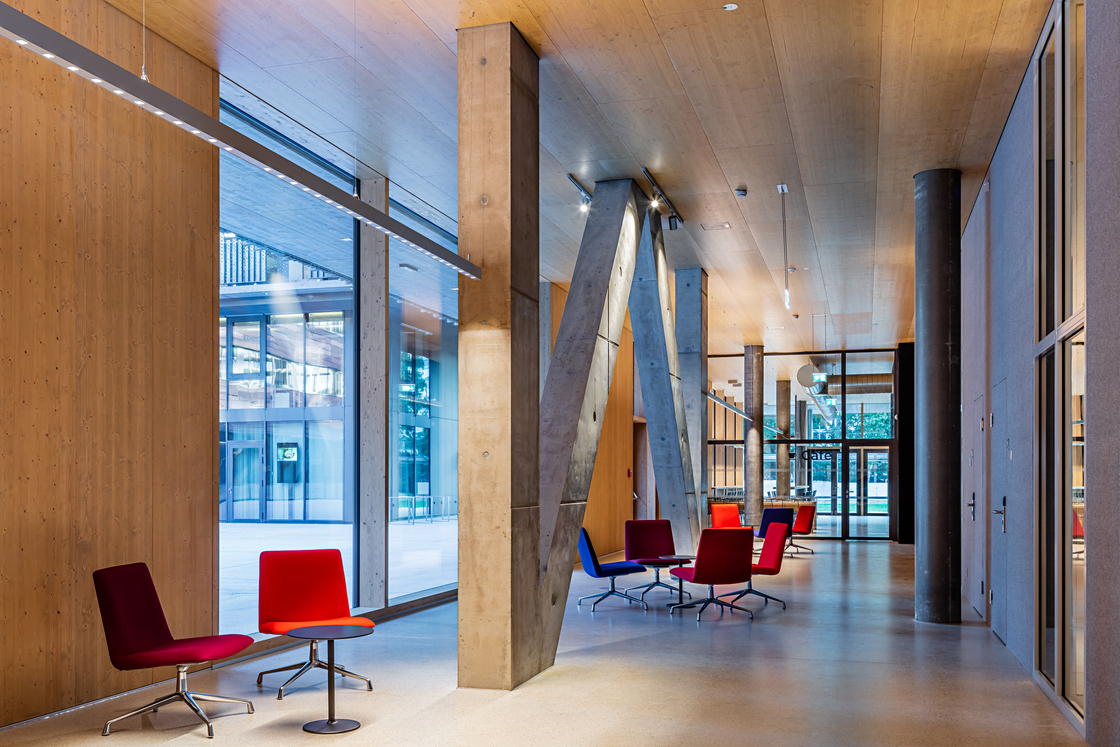 Ein Foto von Martin Steinkellner