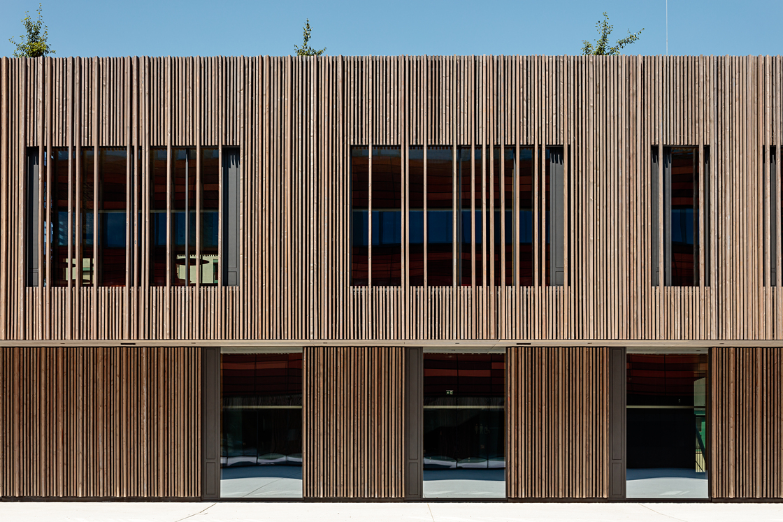 Ein Foto von Martin Steinkellner