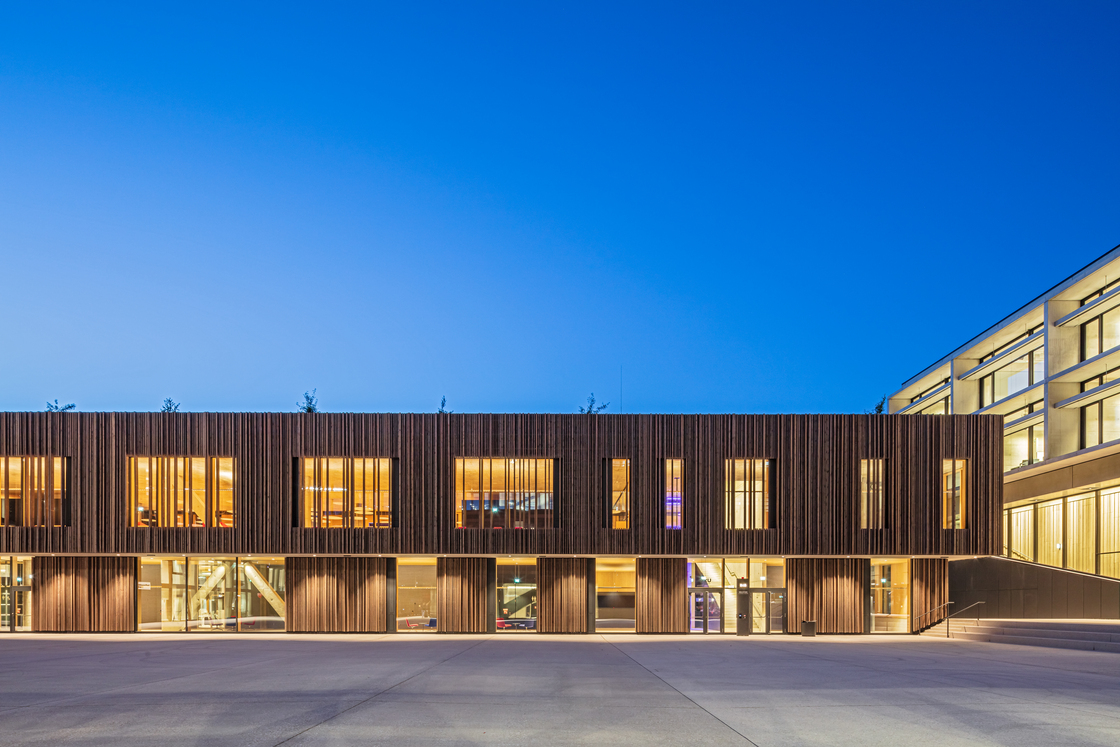 Ein Foto von Martin Steinkellner