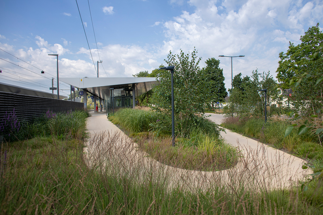 Ein Foto von Petra Rainer