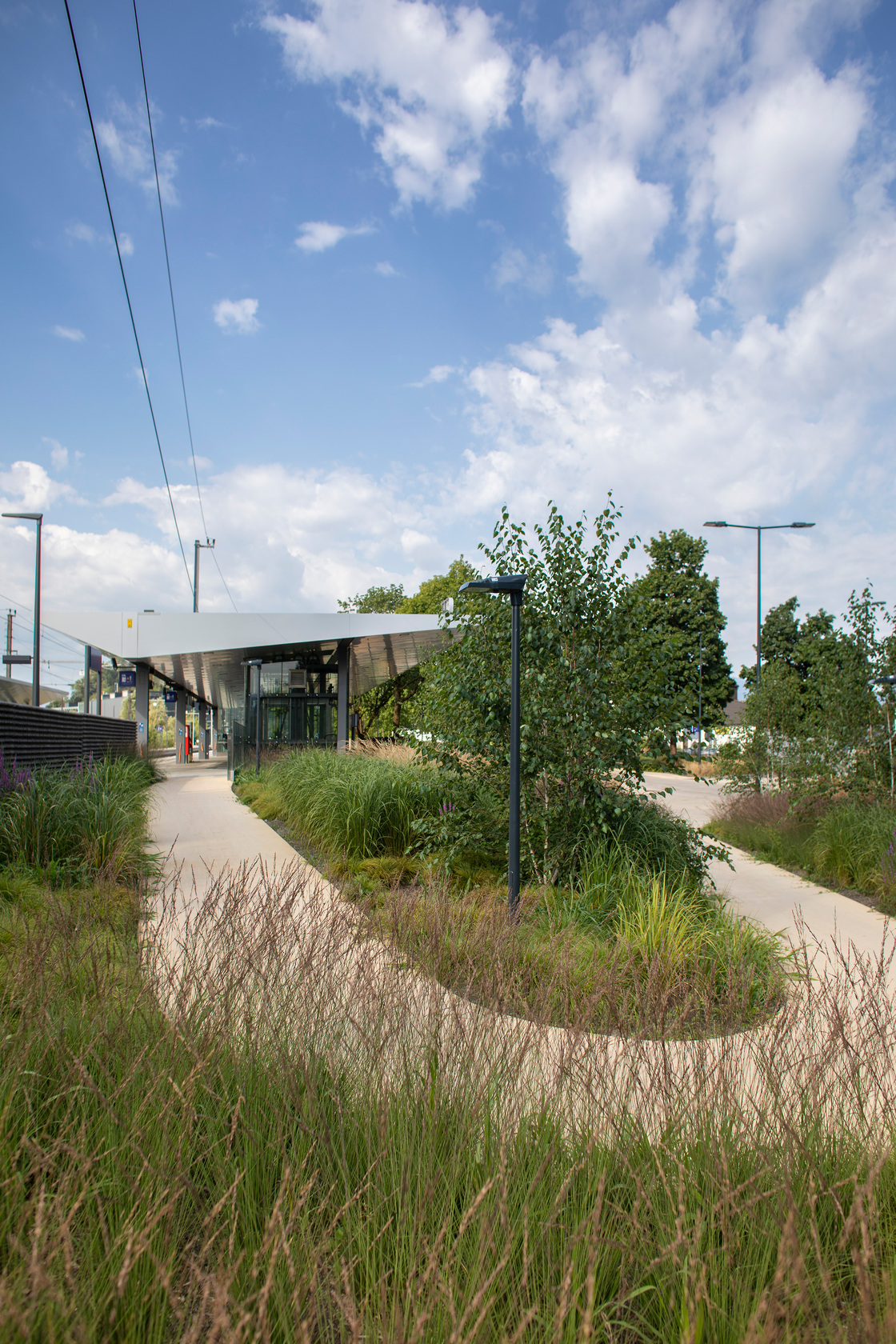 Ein Foto von Petra Rainer