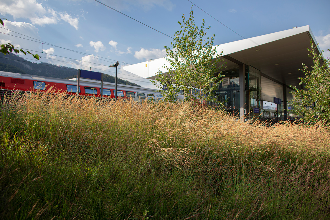 Ein Foto von Petra Rainer