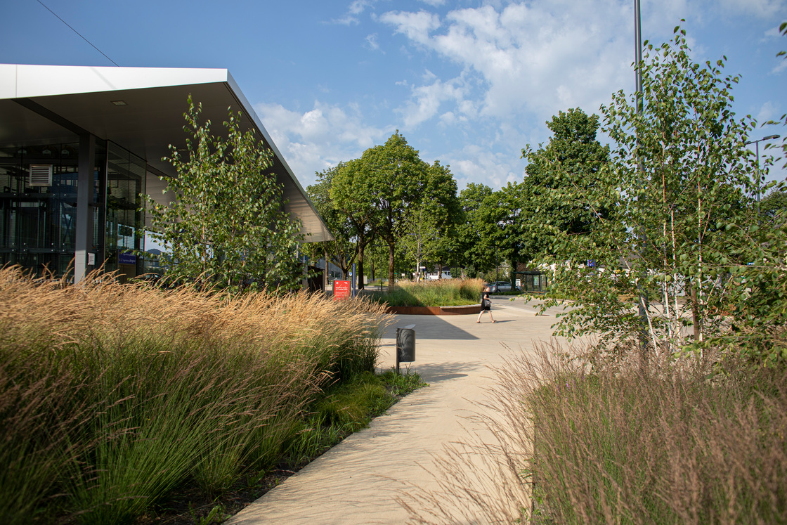 Ein Foto von Petra Rainer