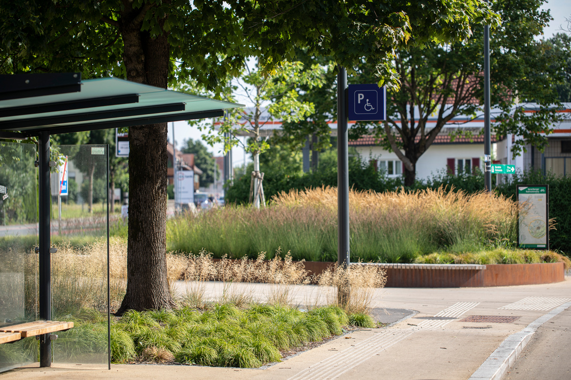 Ein Foto von Petra Rainer