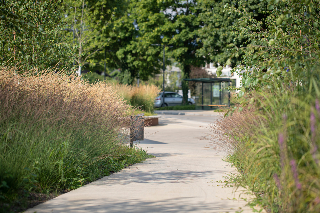 Ein Foto von Petra Rainer