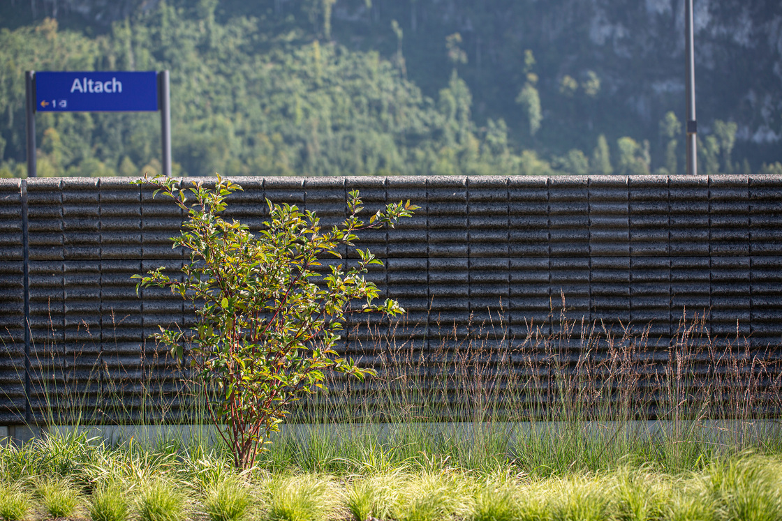 Ein Foto von Petra Rainer