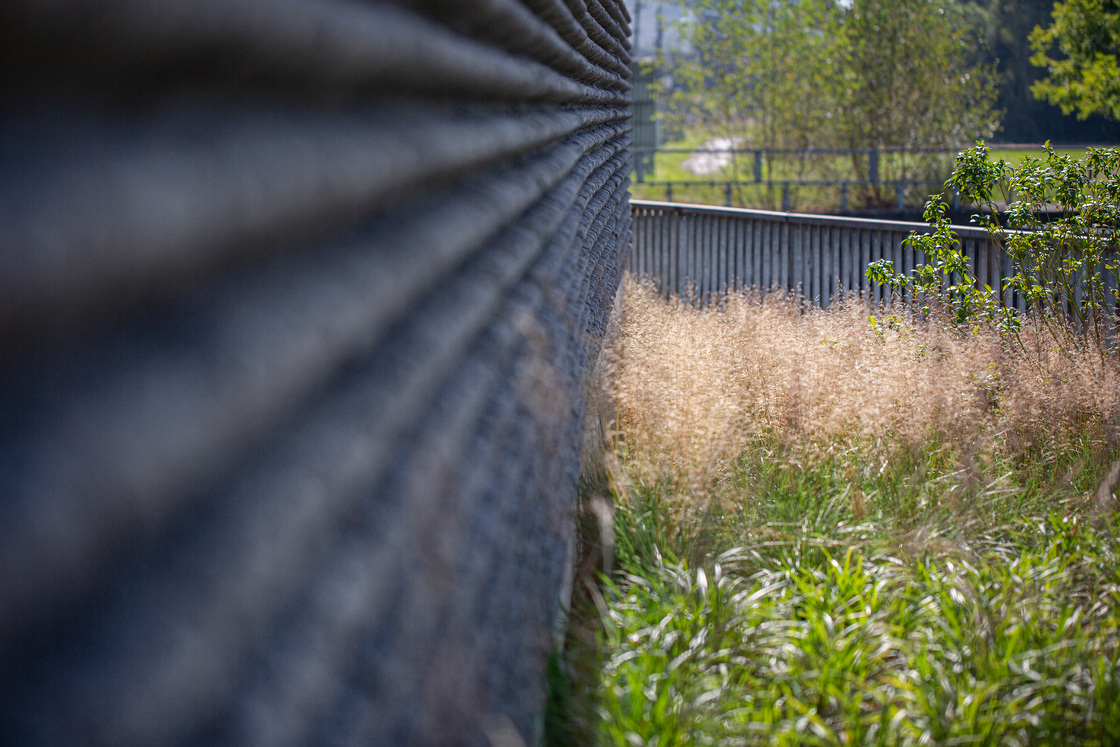 Ein Foto von Petra Rainer