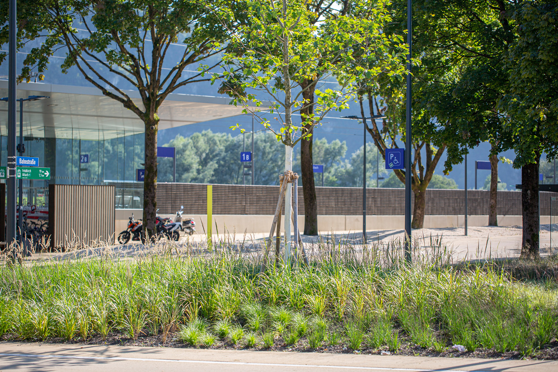 Ein Foto von Petra Rainer