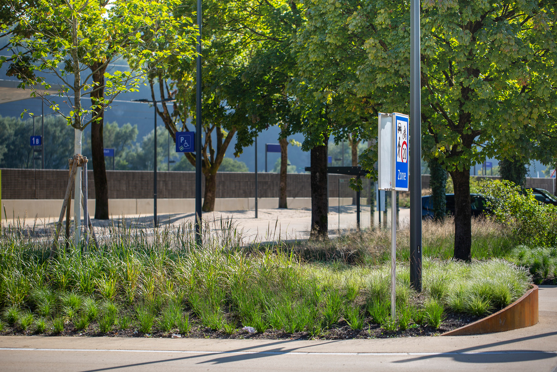 Ein Foto von Petra Rainer