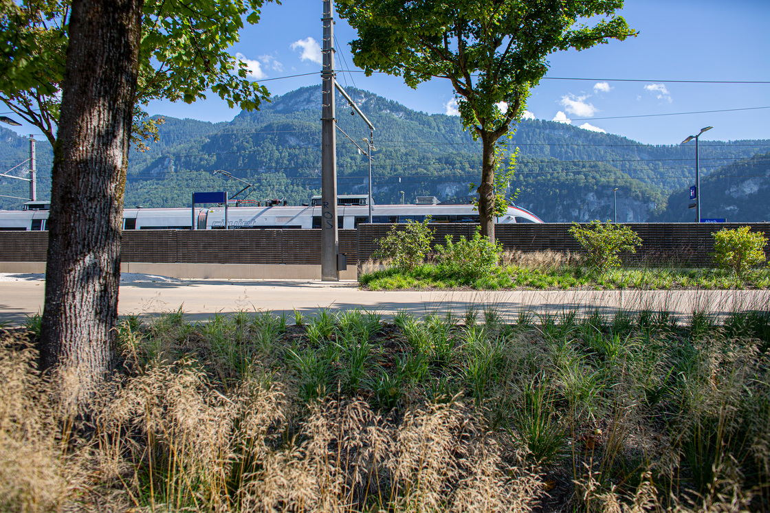 Ein Foto von Petra Rainer