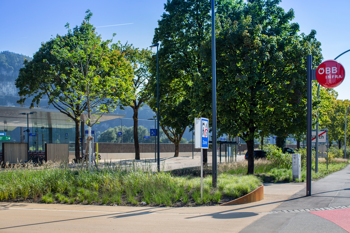 Ein Foto von Petra Rainer