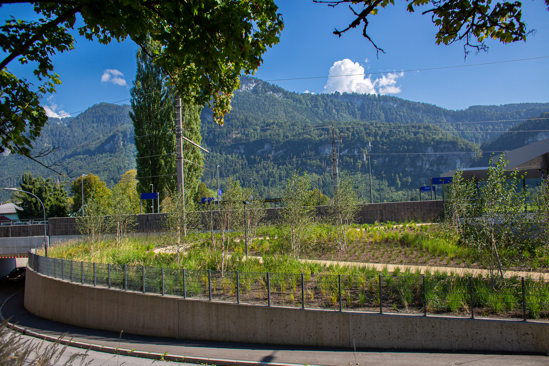 Ein Foto von Petra Rainer